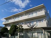 サンワロイヤルマンション2号館 3階 築38年8ヶ月の賃貸物件