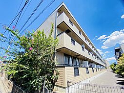 グレイスコート