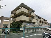 第二シャトーウメダ 2階 築40年11ヶ月の賃貸物件