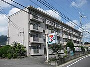 桂駅よりバス13分 徒歩3分 4階 築51年5ヶ月の賃貸物件