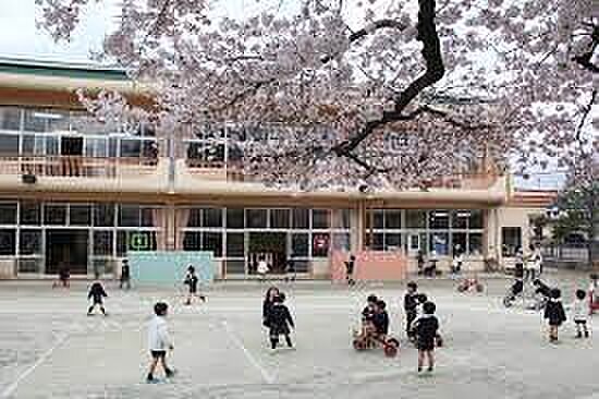幼稚園・保育園 200m 秋川文化幼稚園