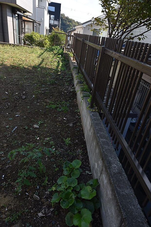 隣地境界・南側(2025年10月30日撮影)