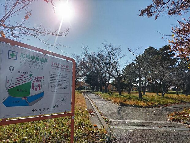 野島公園(室ノ木地区)まで約350m