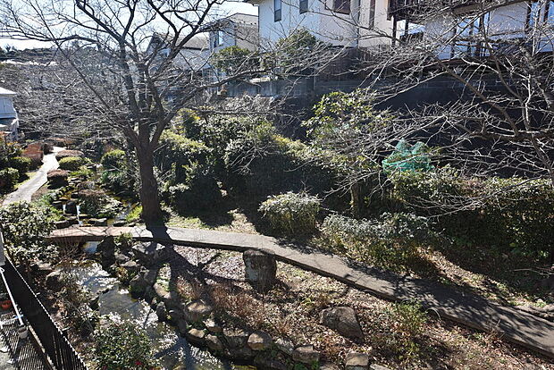 バルコニーからの眺望　（釜利谷小川アメニティという緑道です　桜の木もあります）