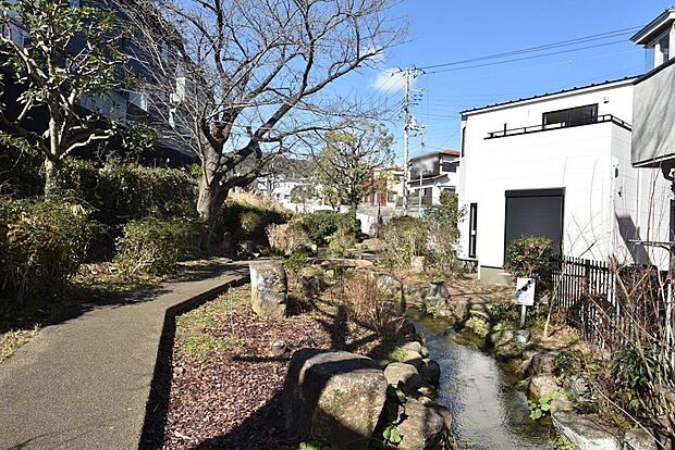 前面緑道