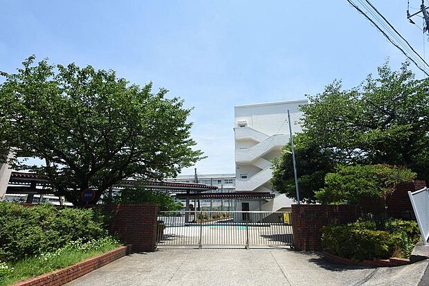 横浜市立西柴中学校まで約600ｍ