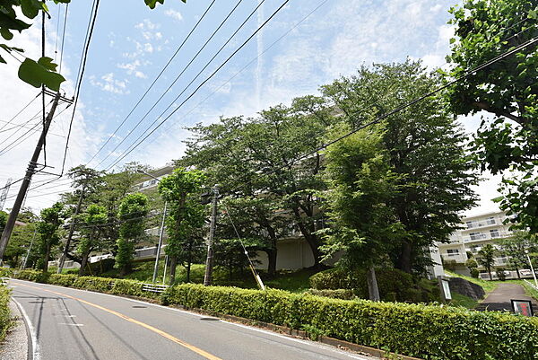 外観・南東側前面道路