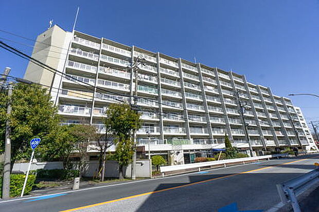 鹿島田セントラルマンション(3LDK) 5階/505の外観