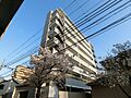 GIOIA住道