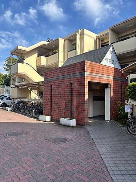 2026年4月下旬撮影