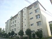 清和台公社1号棟 4階 築52年9ヶ月の賃貸物件