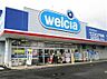 周辺：ドラッグストア 「ウエルシアイオンフードスタイル小平店まで765m」