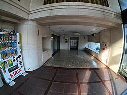 13 / 26
