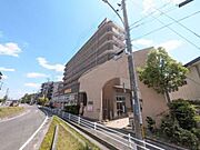 メゾンドール南千里の賃貸物件