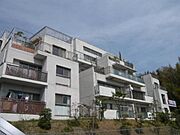 東急ドエル・アルス苦楽園桜町B棟B 2階 築28年5ヶ月の賃貸物件