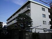 大三マンション 2階 築53年10ヶ月の賃貸物件