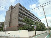 メゾン甲子園南棟 2階 築58年3ヶ月の賃貸物件