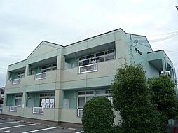 チェリーガーデン