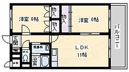 サンフィールド 5階/-