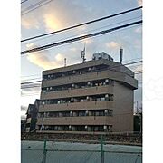 ロイヤルイトウ 6階 築27年6ヶ月の賃貸物件
