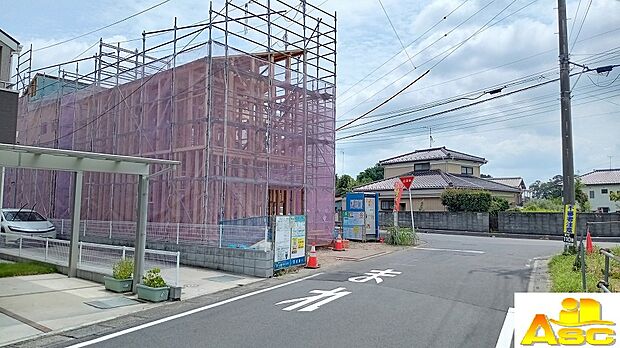 2026.7月撮影