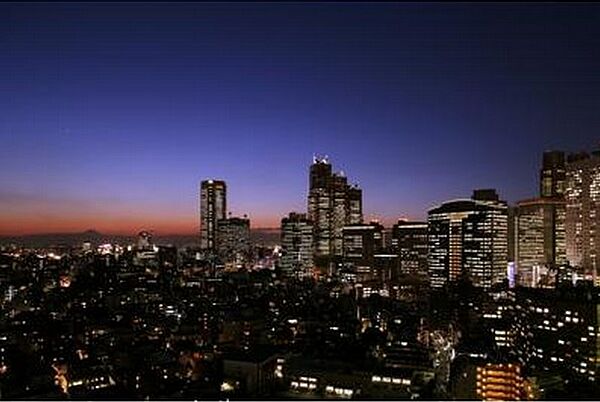 MY TOWER RESIDENCE（マイタワーレジデンス） 1313｜東京都渋谷区代々木１丁目(賃貸マンション1LDK・13階・52.49㎡)の写真 その13