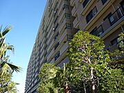 ルネ・グランマリーナ潮見の賃貸物件