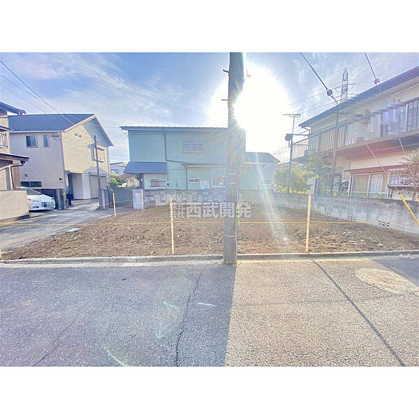11月7日撮影