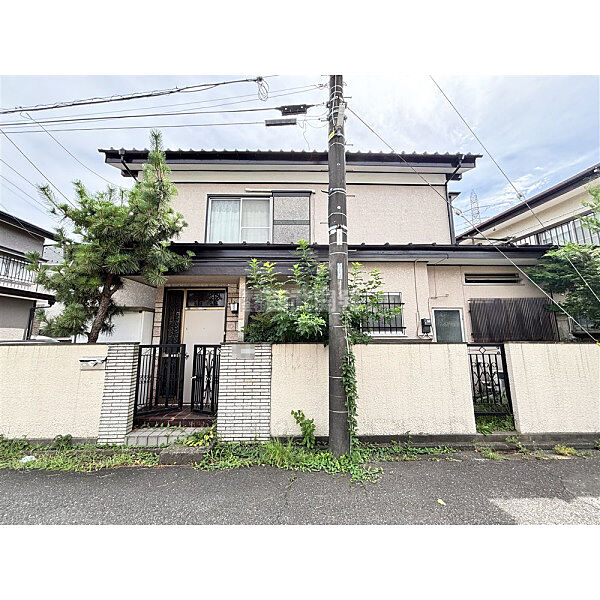 7月17日撮影