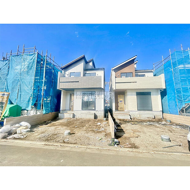 11月14日撮影/現地全景