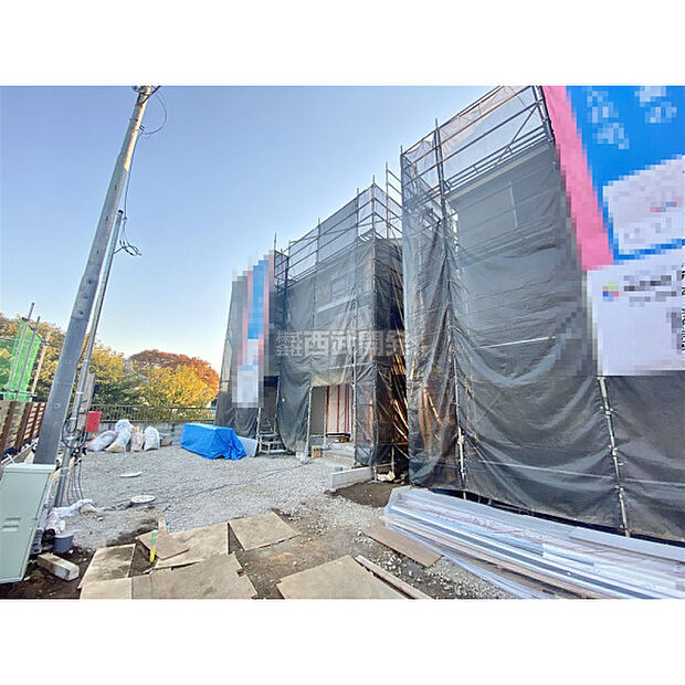 11月17日撮影/現地全体