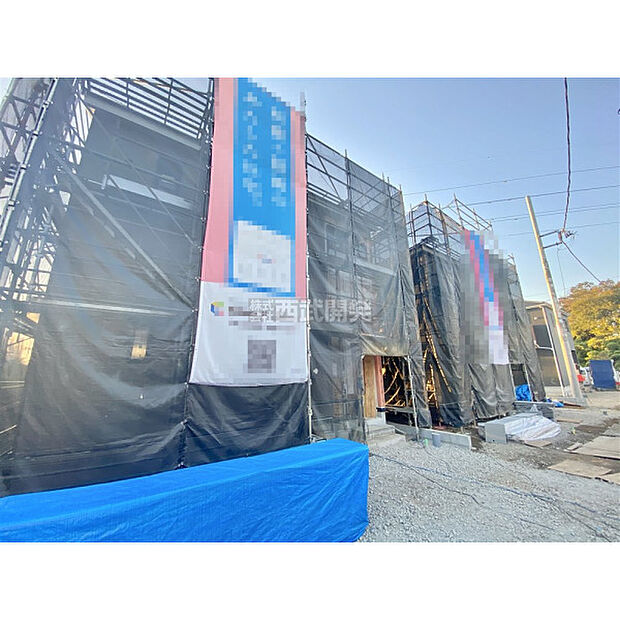 11月17日撮影/現地全体