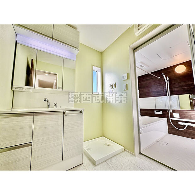 清潔感のある洗面化粧台で、朝の身だしなみをしっかりと。シャワーヘッドが付いているので、お掃除も簡単にできます。