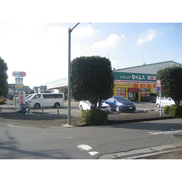 ドラッグセイムス