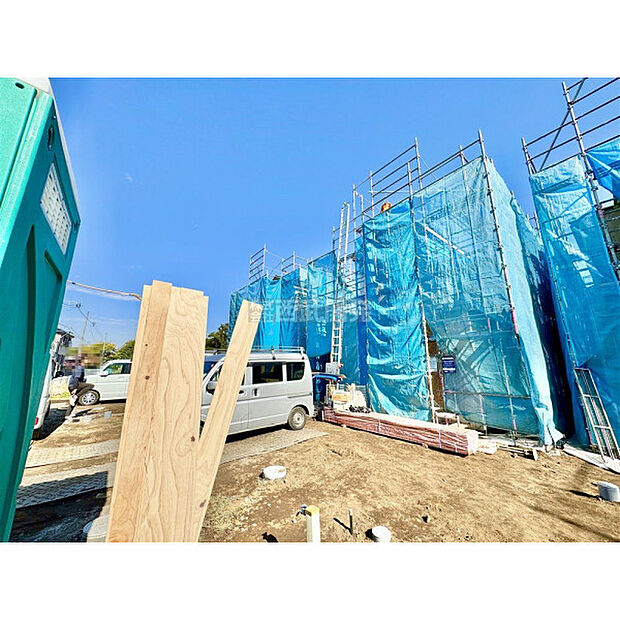 11月14日撮影/現地全景