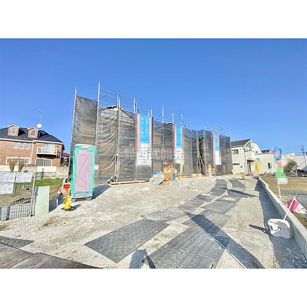 3月5日撮影/現地全体