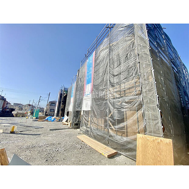 3月5日撮影/現地全体