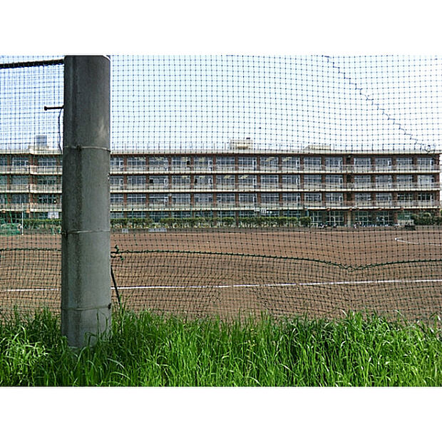 南陵中学校