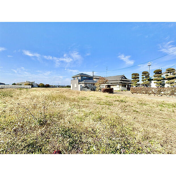 11月15日撮影/現地全景