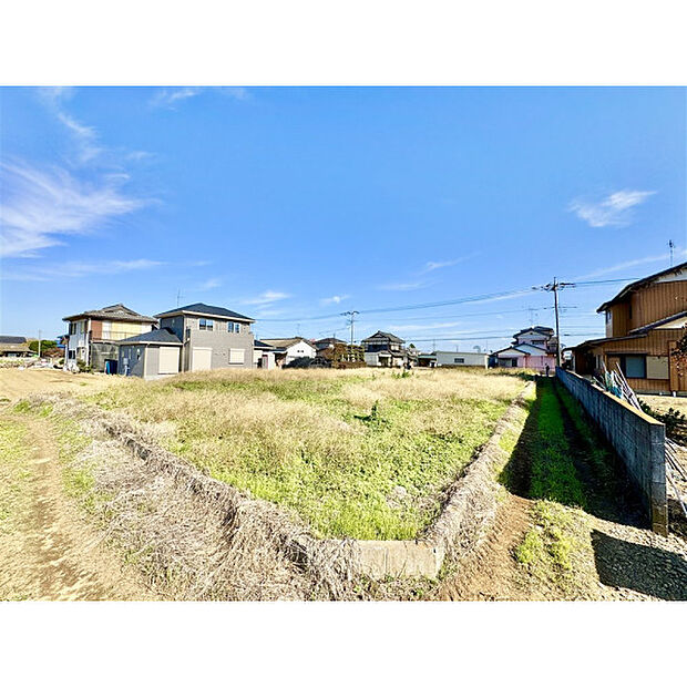 11月15日撮影/現地全景