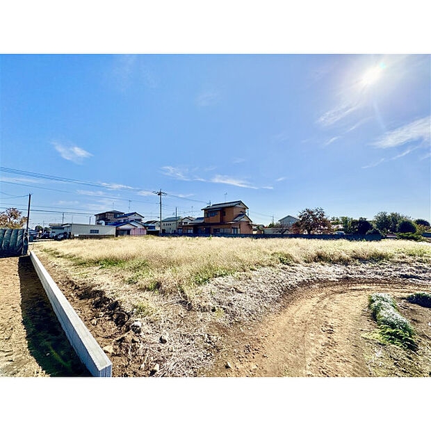 11月15日撮影/現地全景