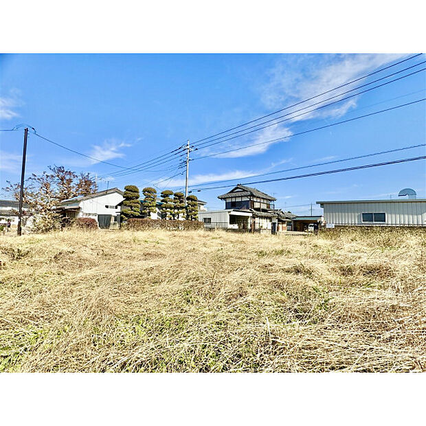 11月15日撮影/現地全景