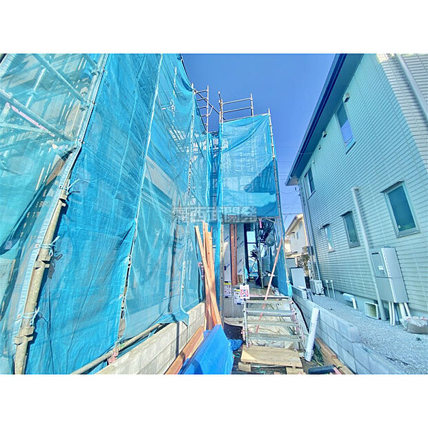 3月5日撮影/現地全景