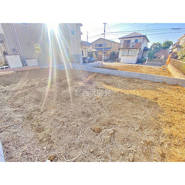 12月19日撮影/現地全体