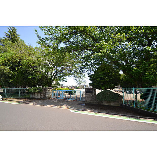 上新井小学校