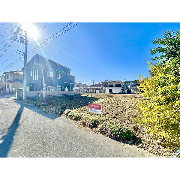 12月1日撮影