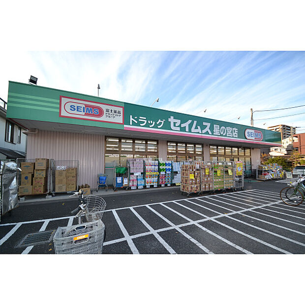 ドラッグセイムス