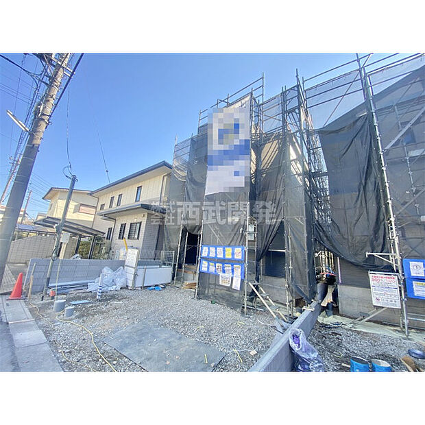 1月16日撮影/現地全景