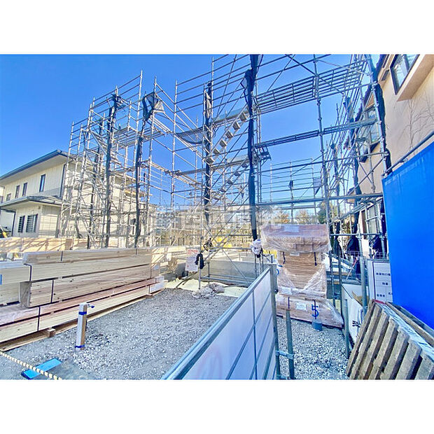 12月12日撮影/現地全体