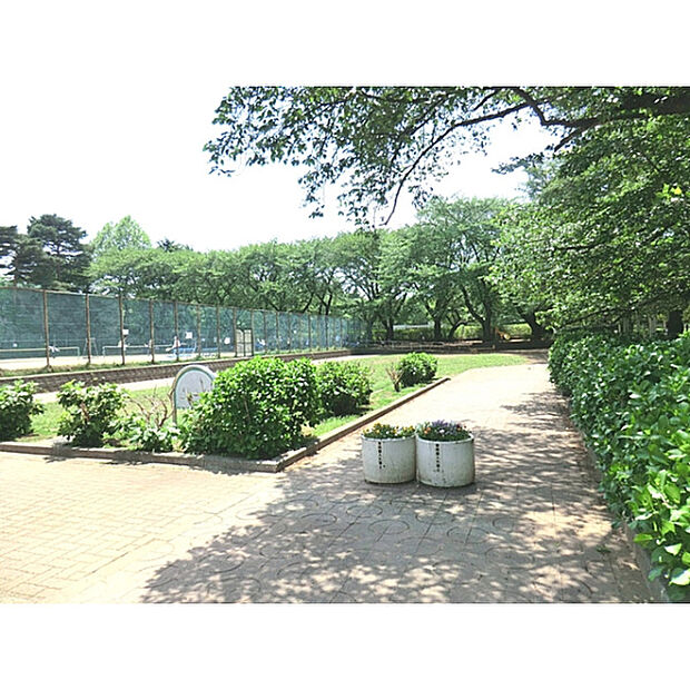清瀬中央公園